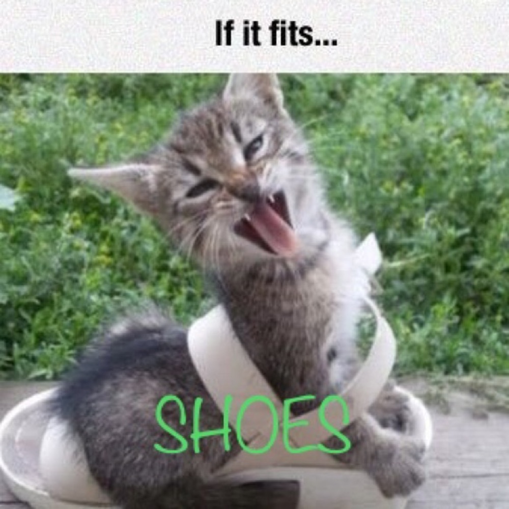 SHOES